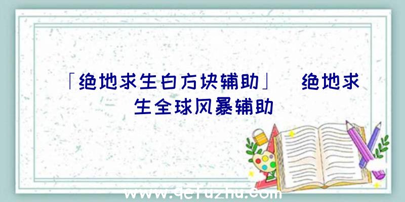 「绝地求生白方块辅助」|绝地求生全球风暴辅助